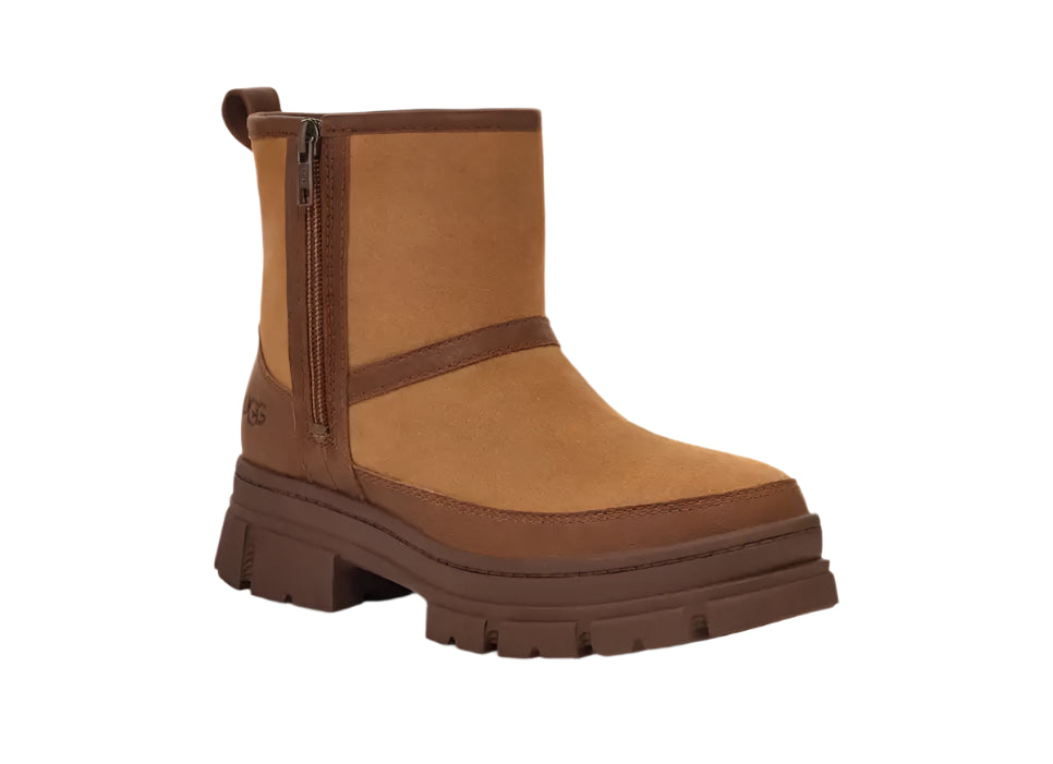Women's UGG Ashton Zip Boot 6