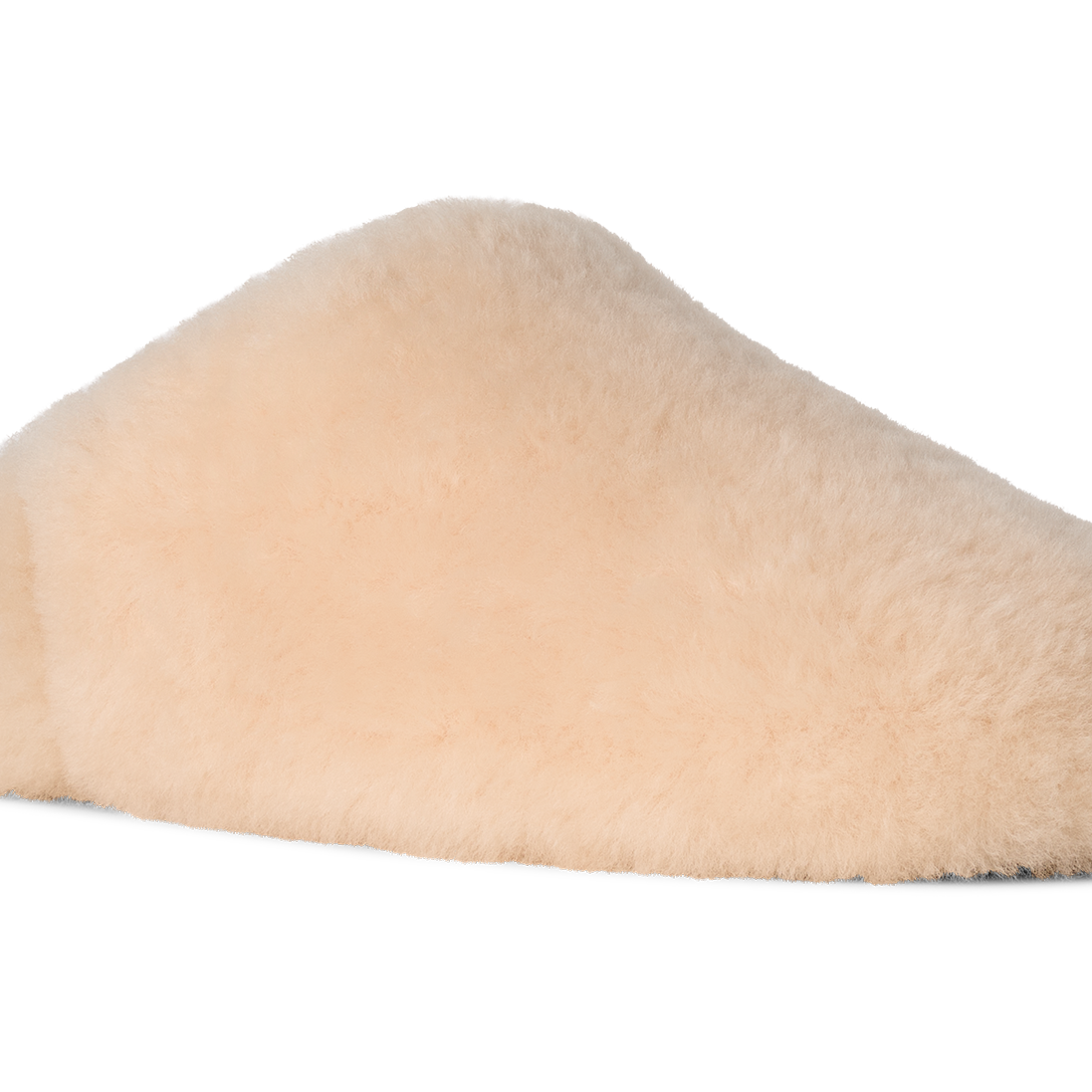 Beige slipper on a white background