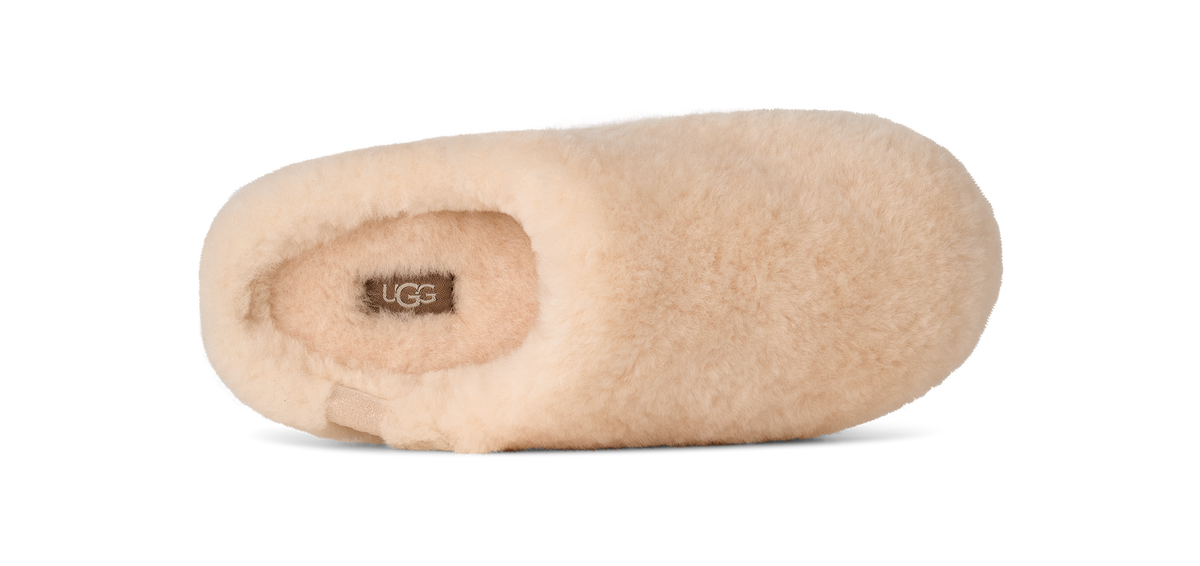 Beige UGG slipper on a white background