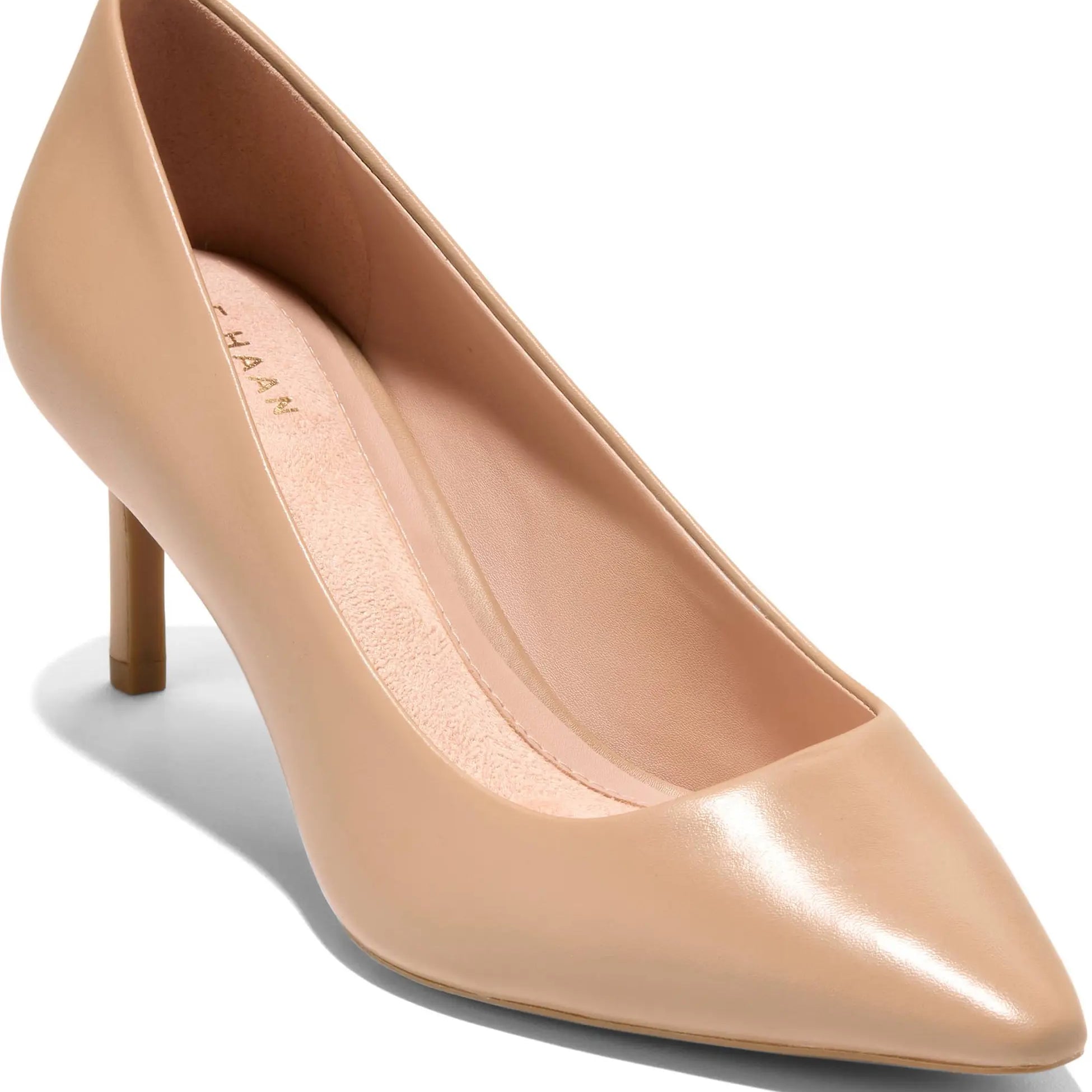 Cole Haan The Go To Janey Pointed Toe Pump 1