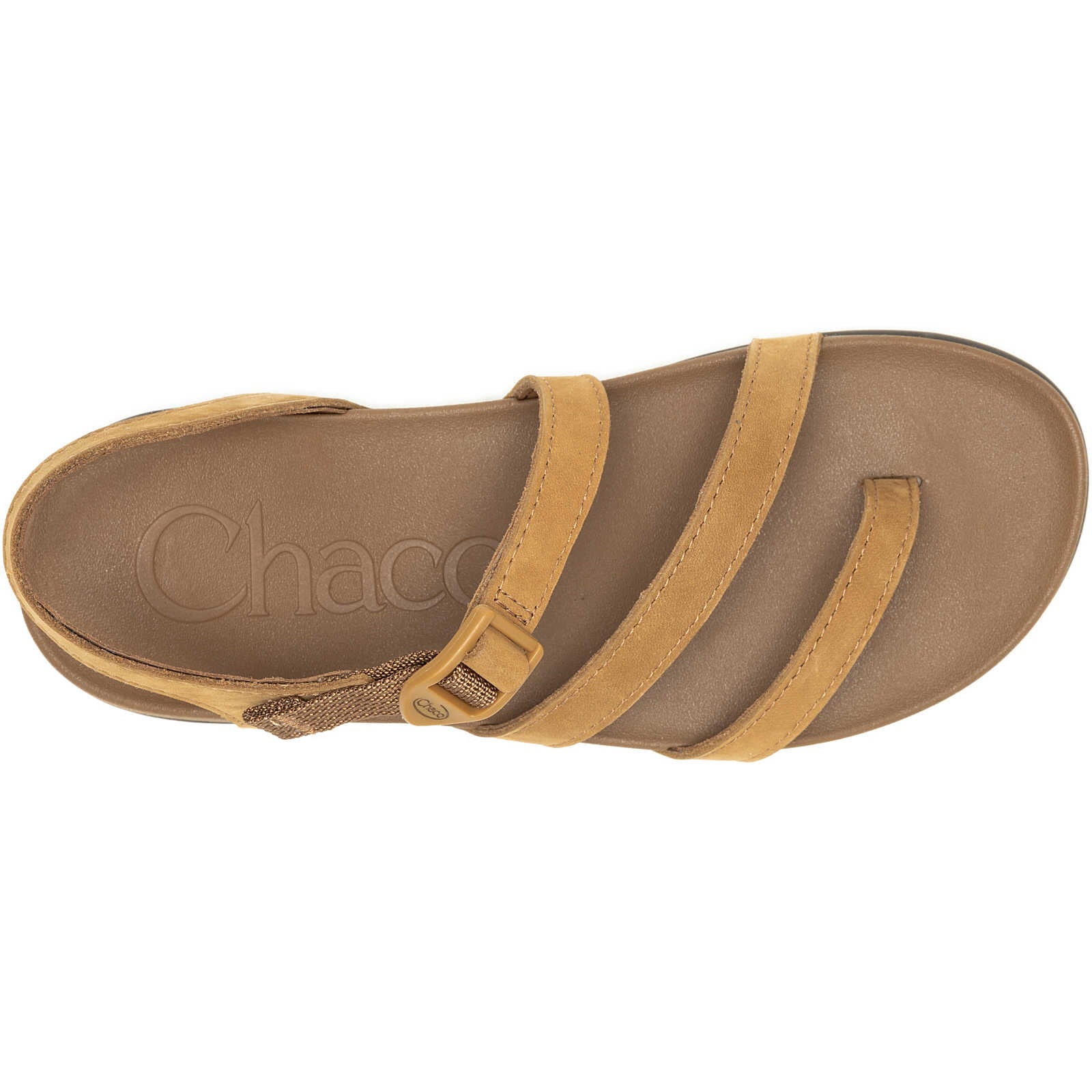 Women's Chaco Lowdown Strappy Sandal 12