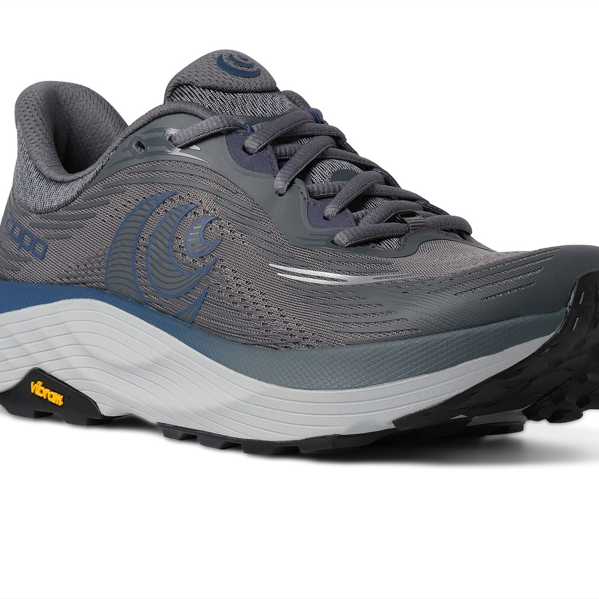 Gray and blue running shoe on a white background