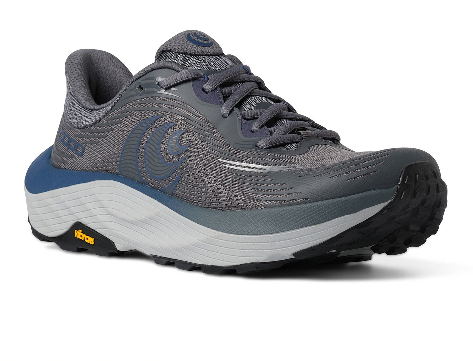 Gray and blue running shoe on a white background