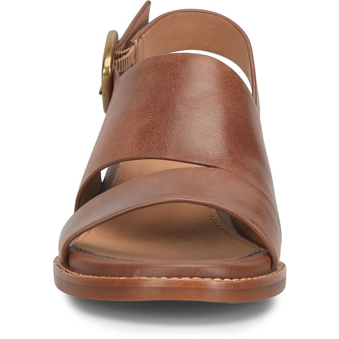 Brown sandal with a strap and buckle on a white background
