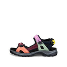 Multicolored sandal on a white background