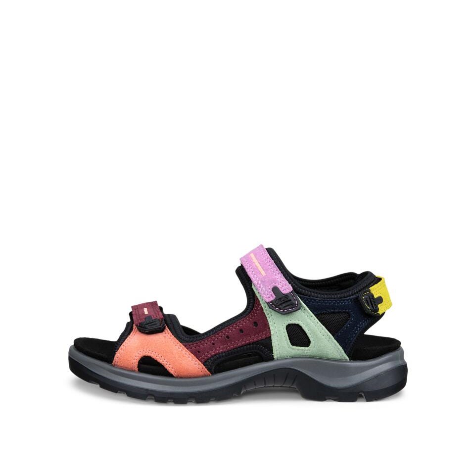 Multicolored sandal on a white background