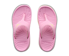 Pair of pink flip-flops on a white background