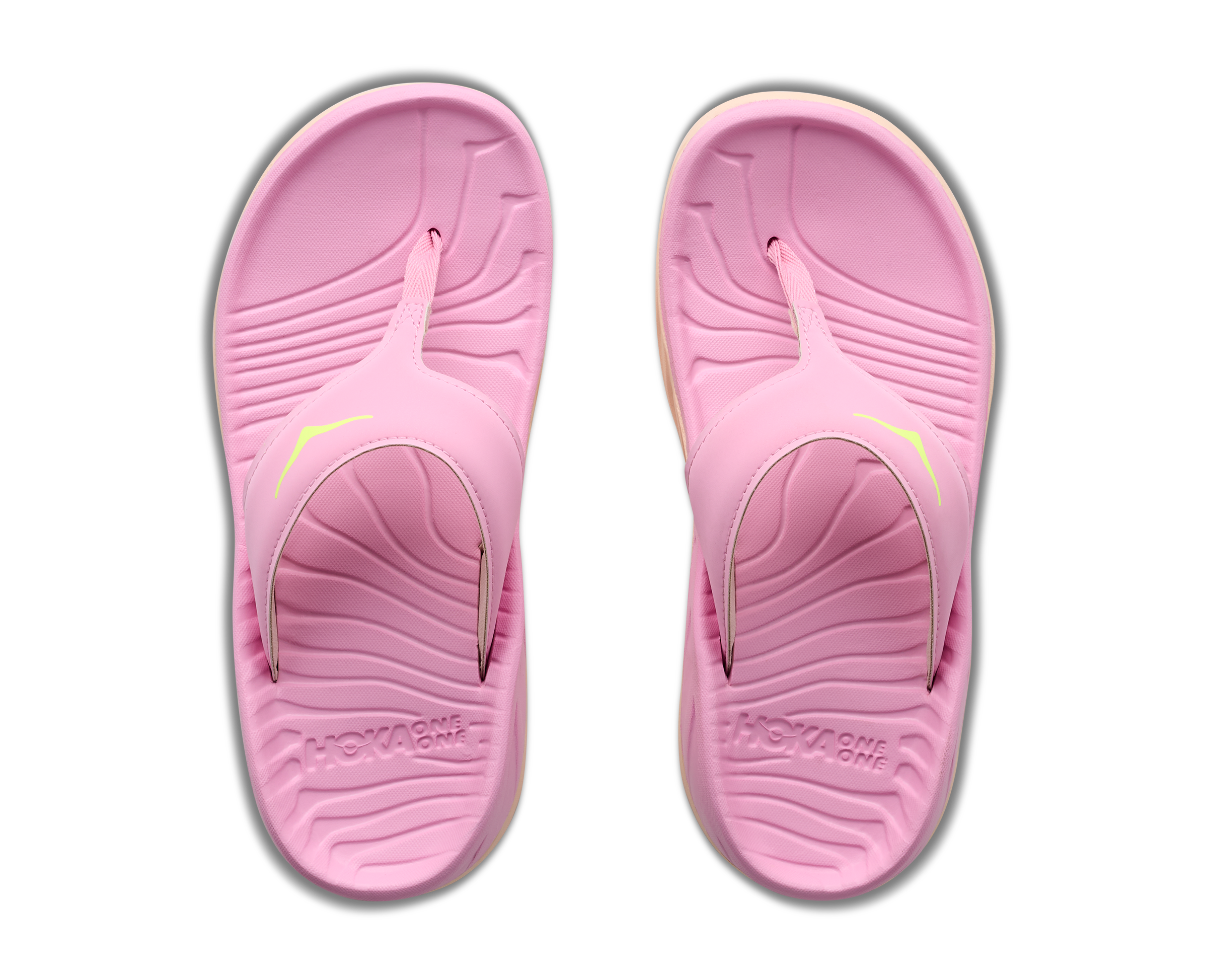 Pair of pink flip-flops on a white background