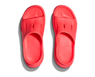 Pair of red slides on a white background