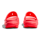 Pair of red clogs on a white background