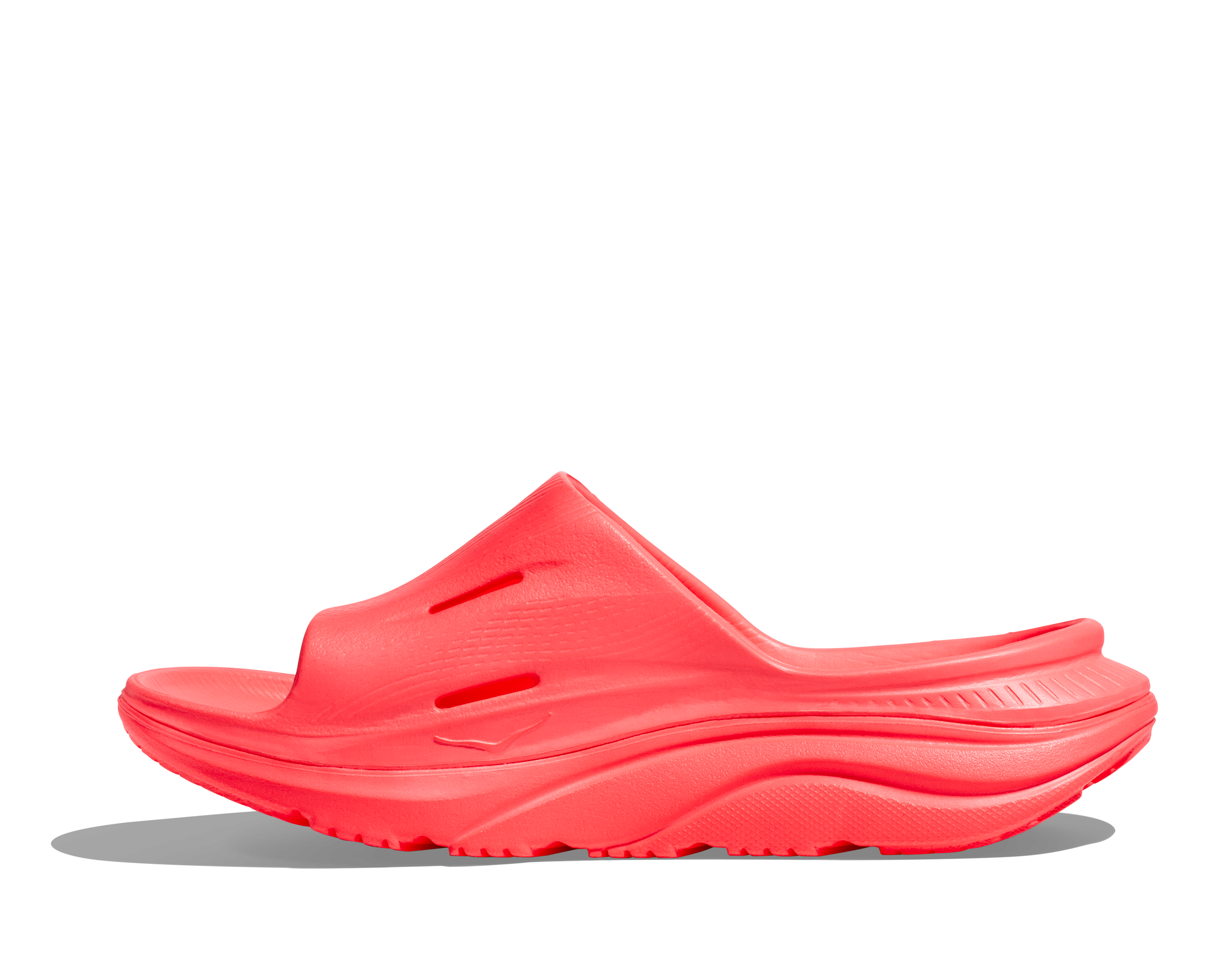 Red sandal on a white background