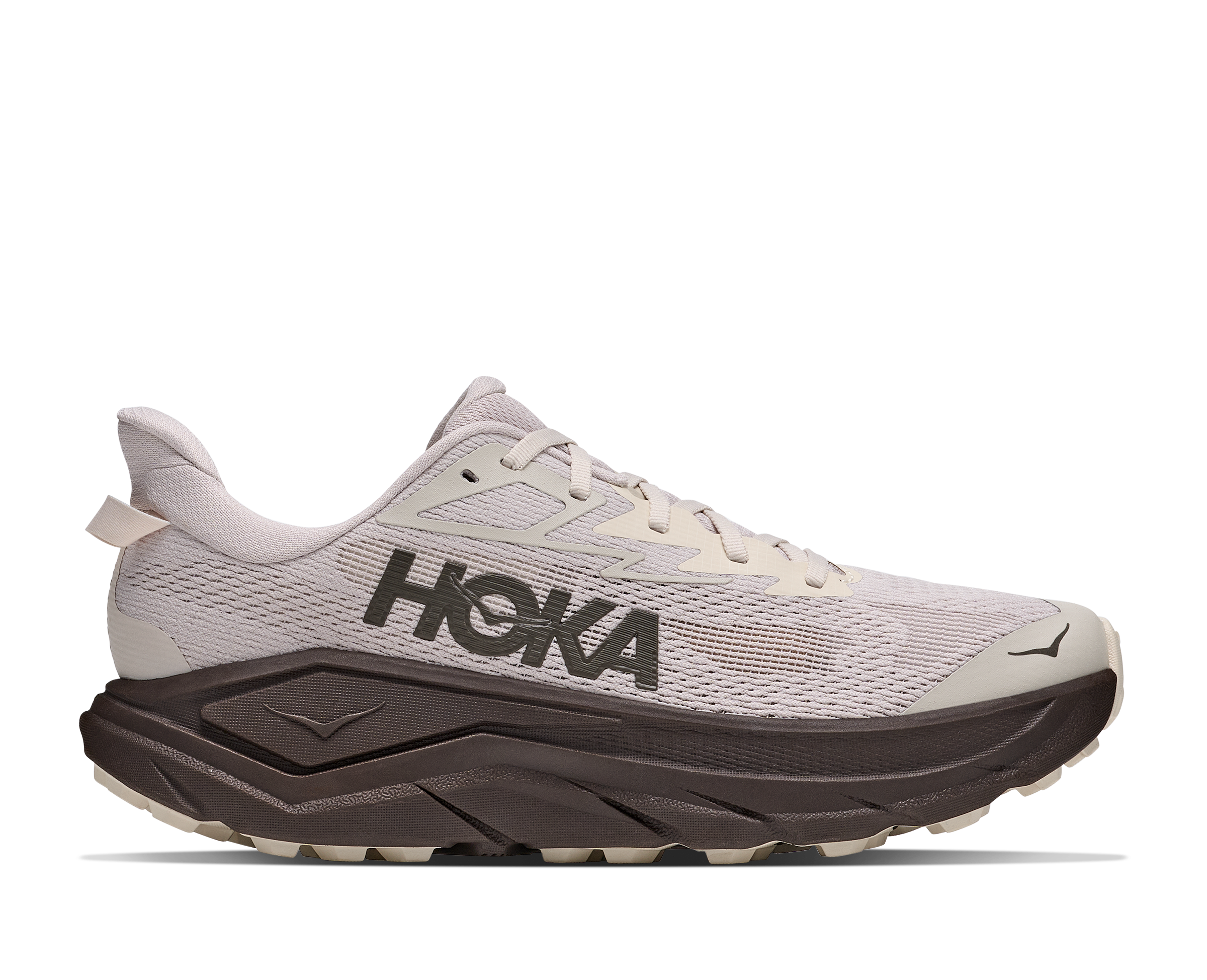 Hoka running shoe on a white background