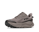 Gray hiking shoe with GORE-TEX logo on a white background