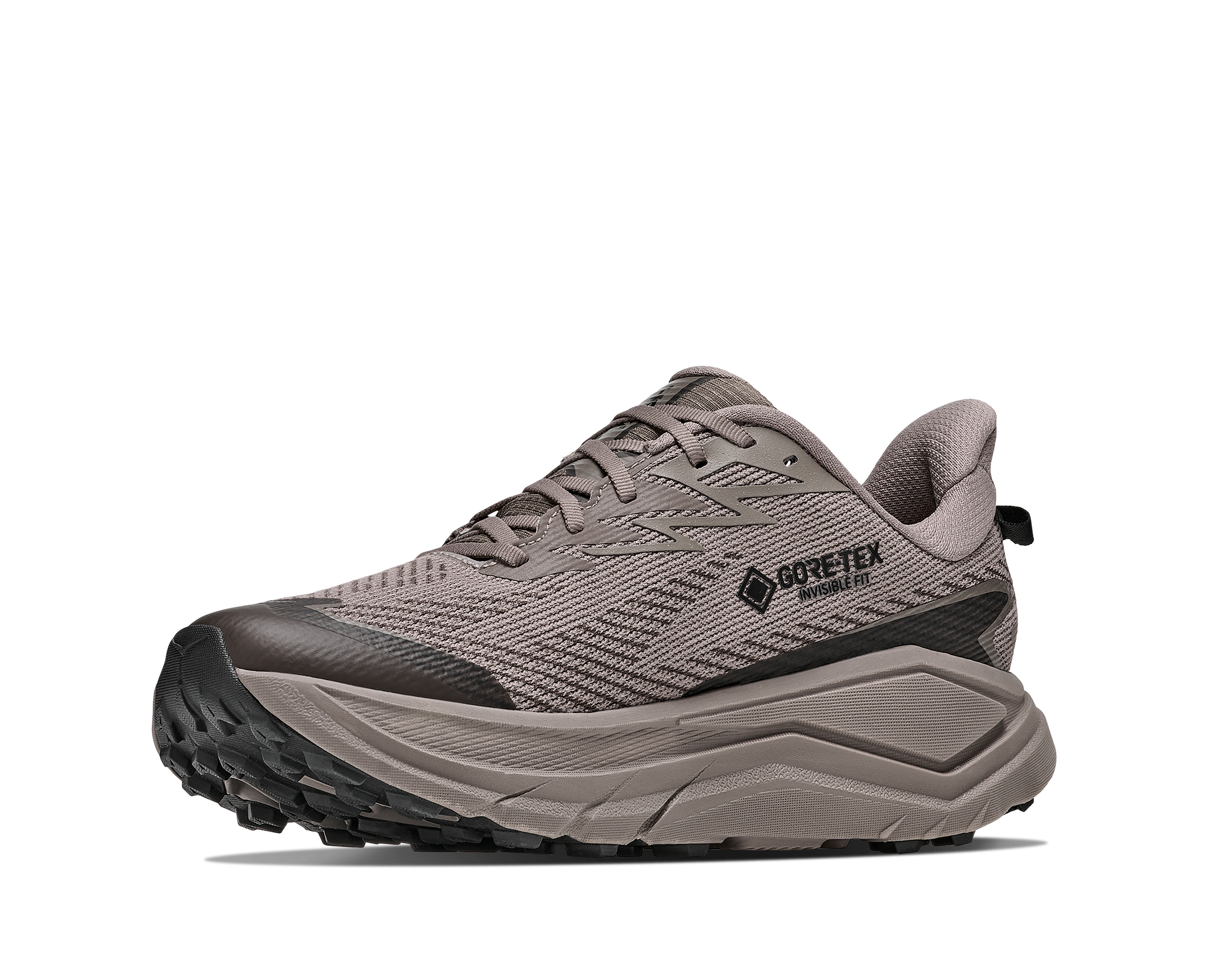 Gray hiking shoe with GORE-TEX logo on a white background