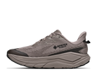 Gray running shoe with Goretex branding on a white background