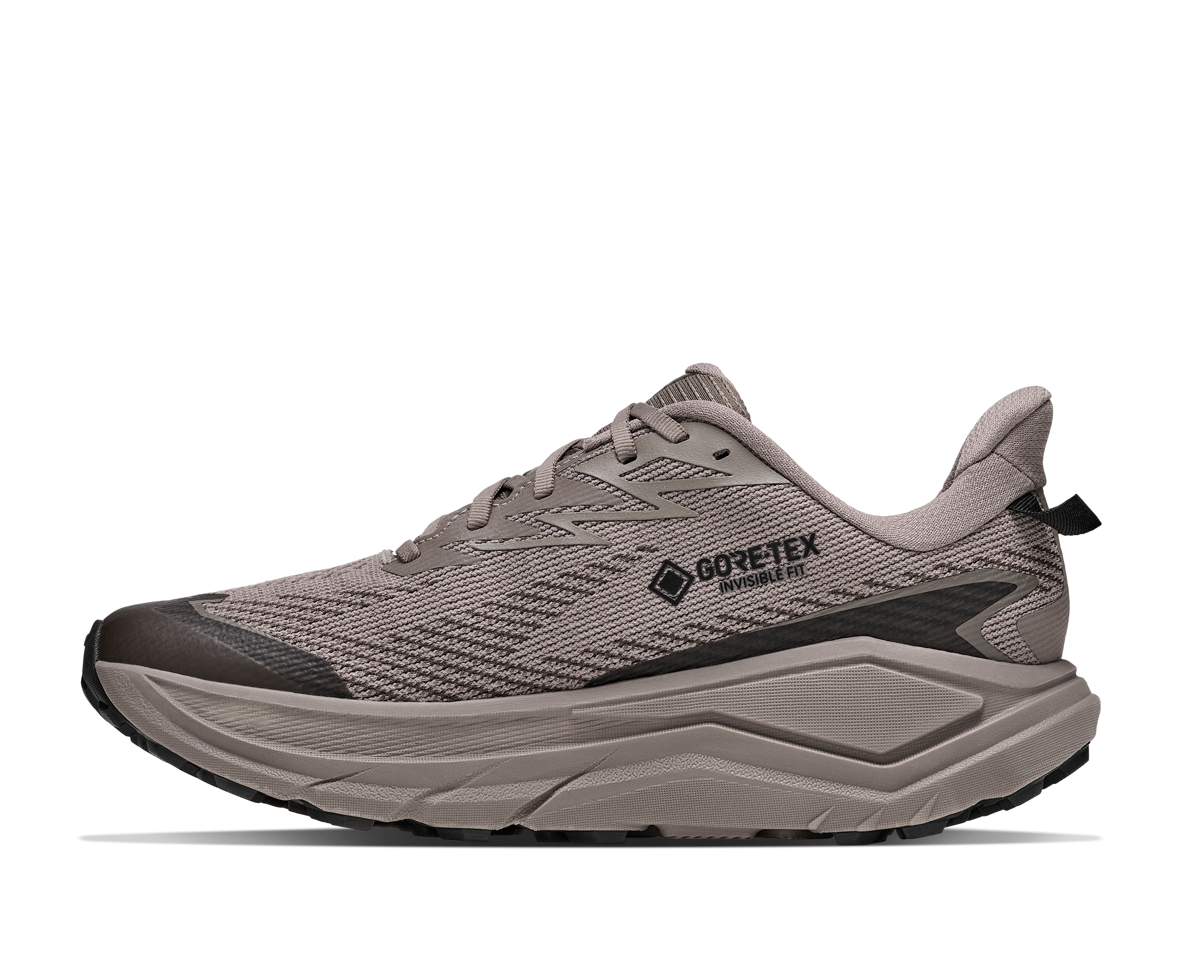 Gray running shoe with Goretex branding on a white background