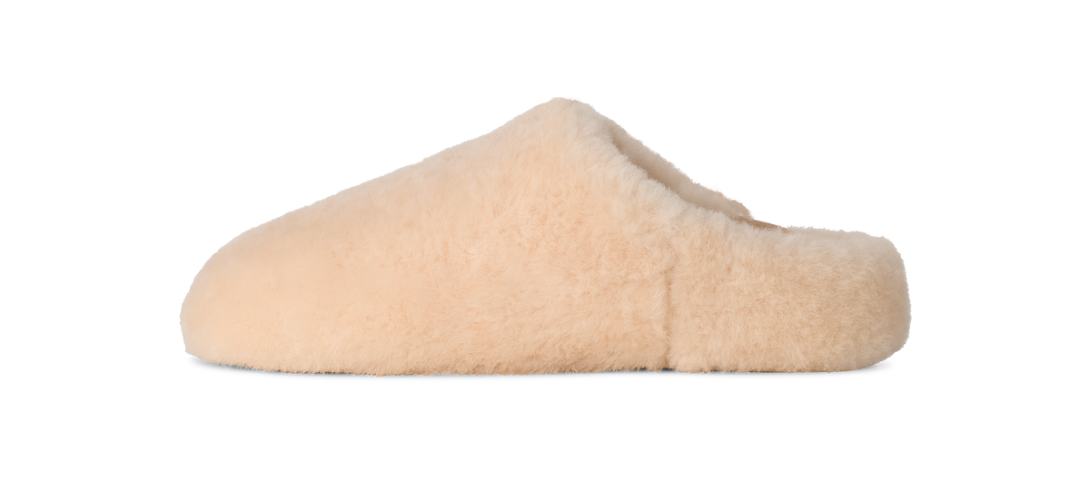 Beige slipper on a white background