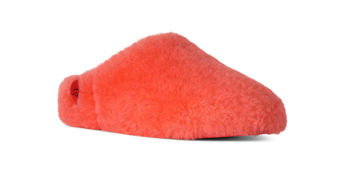 Red slipper on a white background