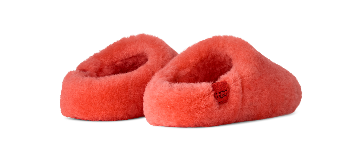 Pair of red slippers on a white background