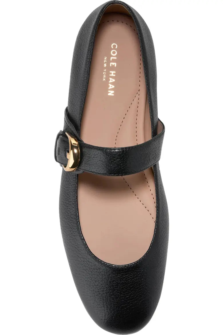Women's Cole Haan Alissa Mary Jane Flat 6