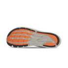 Men's Altra Torin 8 9