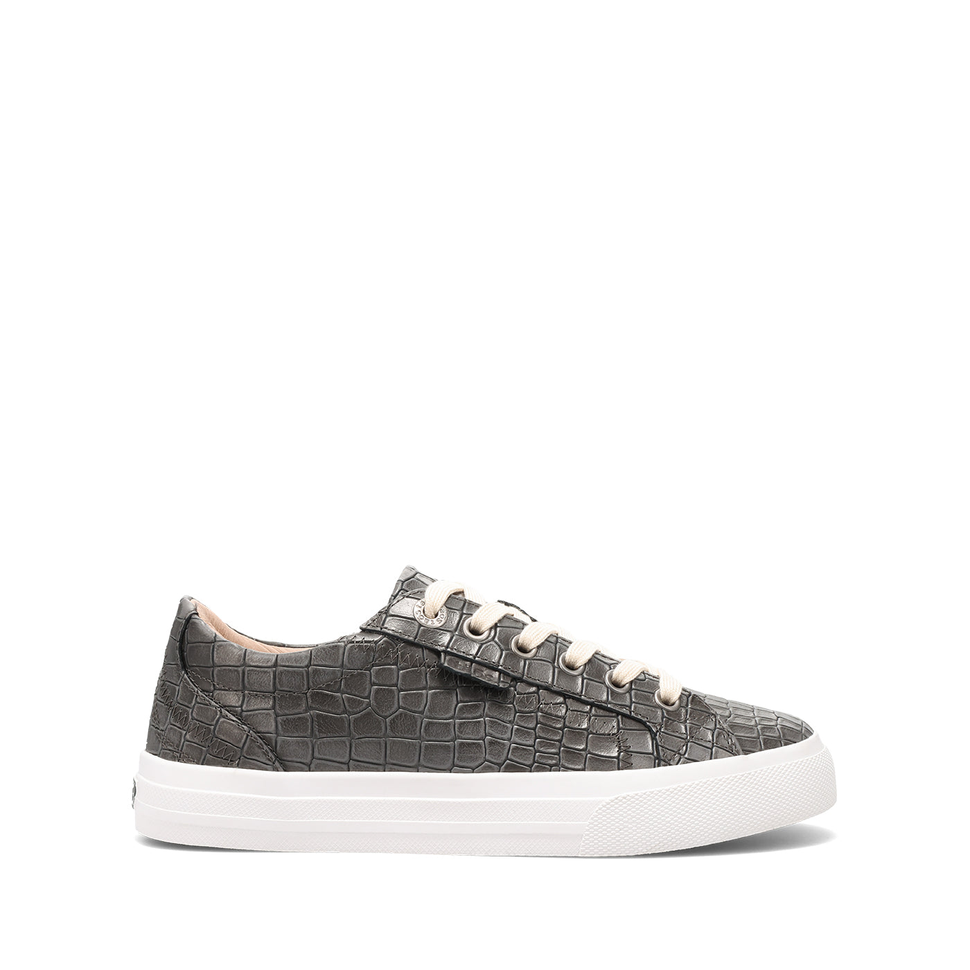 Gray sneaker on a white background