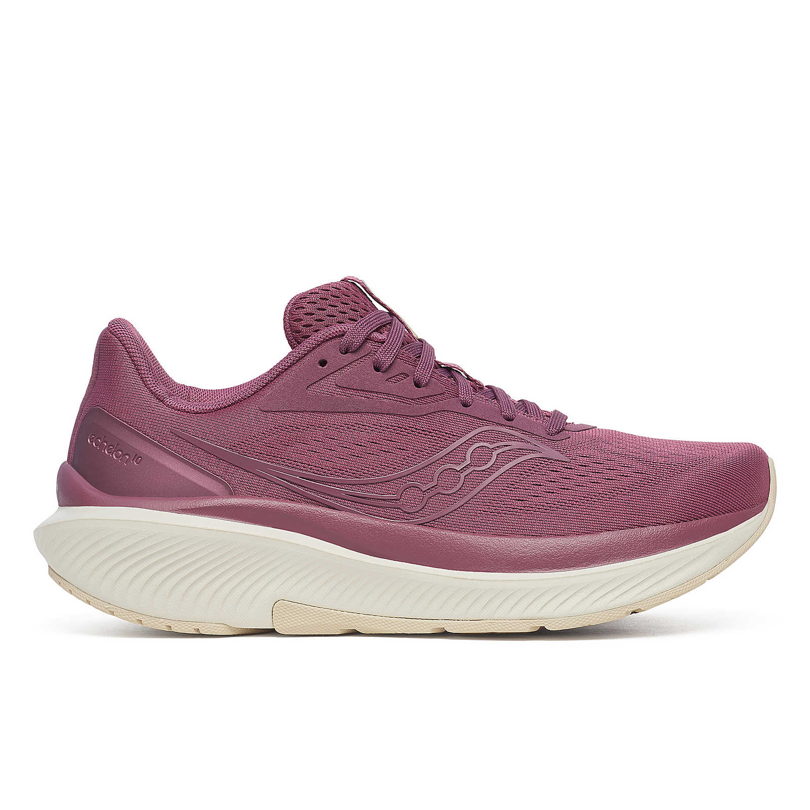 Women's Saucony Echelon 10 20