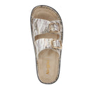 Silver sandal with gold buckles on a white background