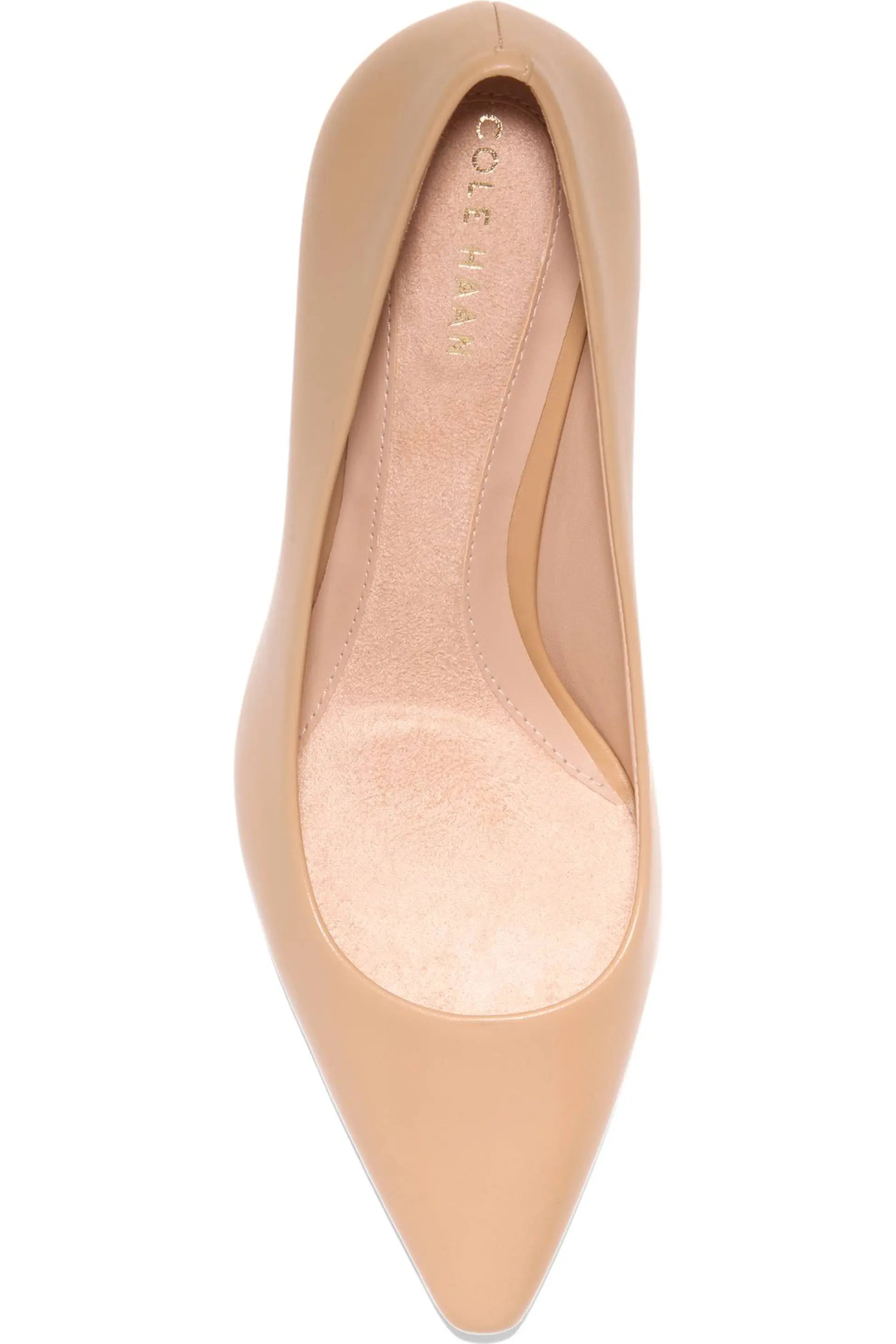 Cole Haan The Go To Janey Pointed Toe Pump 6